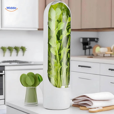 stockage refrigere d'herbes fraiches pour la coriandre, le persil et d'autres aromates