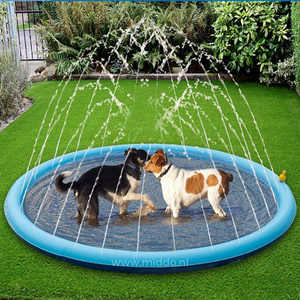 deux chiens jouent ensemble sur un tapis d'eau avec fontaines jaillissantes en plein air