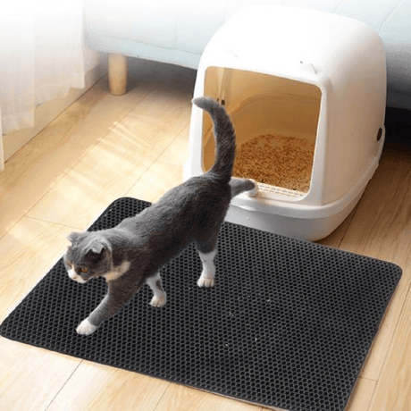 tapis de litière pour chat devant la caisse, retient les granulés pour garder la maison propre