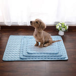 tapis absorbant la chaleur pour animaux coloris bleu présenté en toutes les tailles avec un petit chien brun