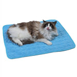 chat allongé et détendu sur le tapis absorbant la chaleur coloris bleu