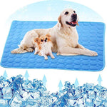 deux chiens allongés ensemble sur le tapis rafraîchissant pour animaux coloris bleu