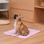 petit chien brun assis sur le tapis rafraîchissant rose posé à même le sol