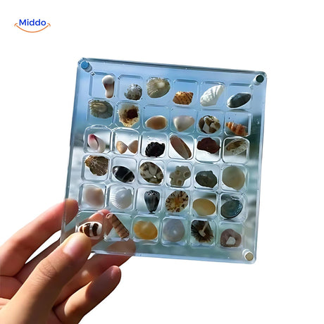 vitrine élégante pour exposer une collection de coquillages ou objets de décoration