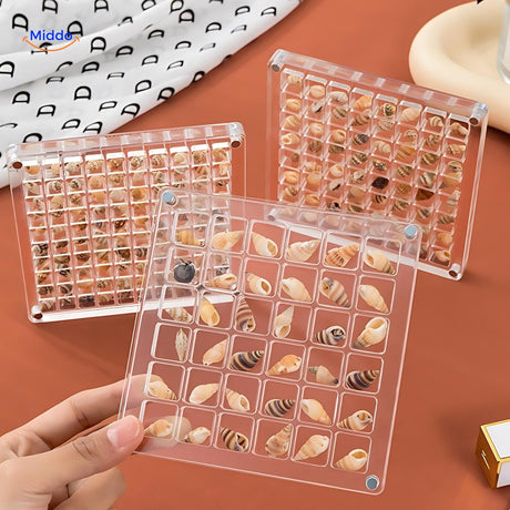 vitrine transparente présentant des trésors marins et coquillages en mise en scène