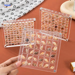 vitrine transparente présentant des trésors marins et coquillages en mise en scène