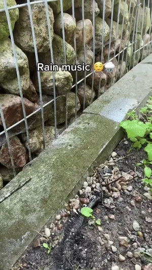expérience musicale avec tambour à langues acier joué sous la pluie en extérieur